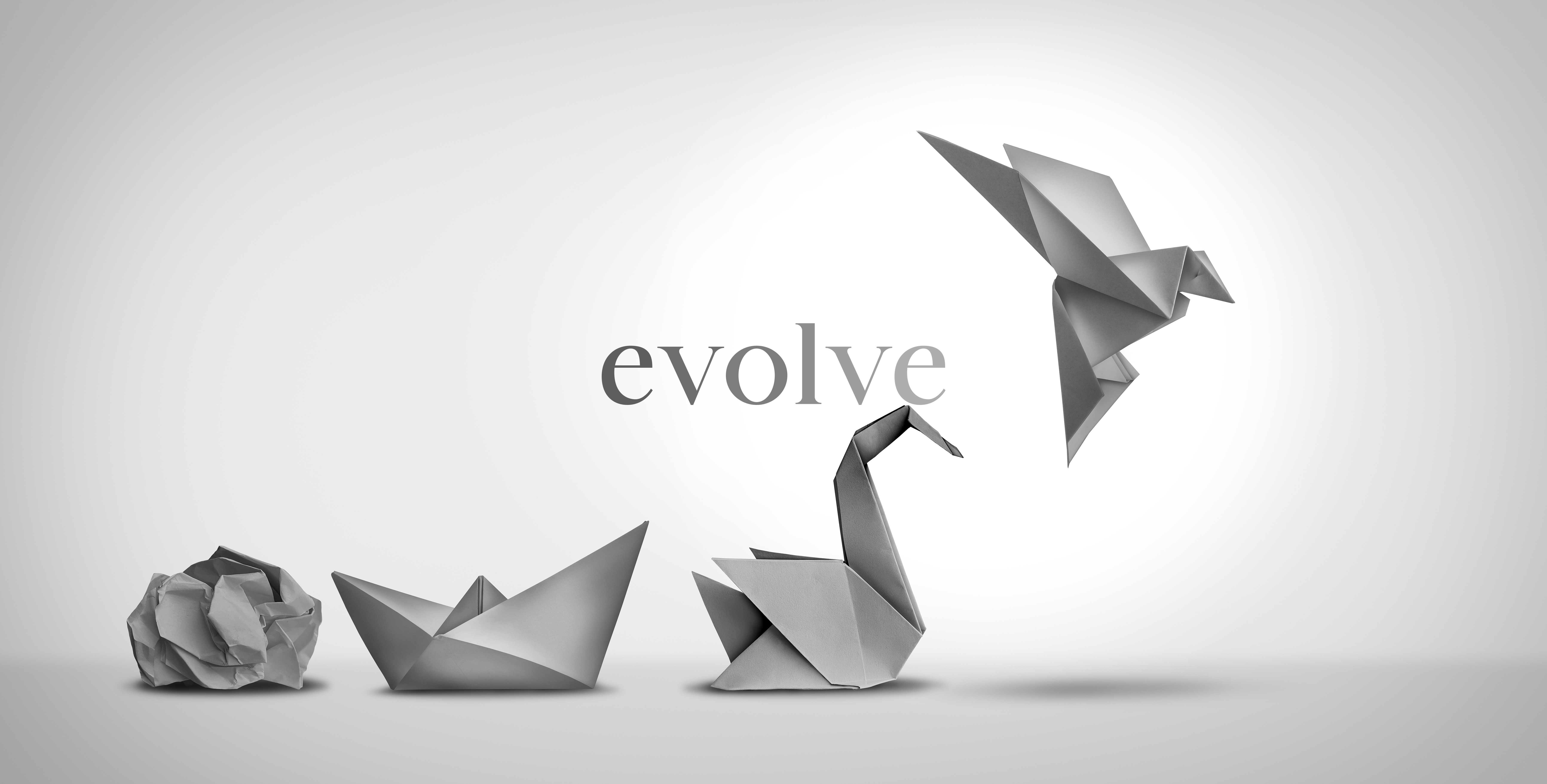 Bio2Business: Company Profile Header